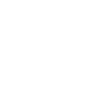 04-litigation-support