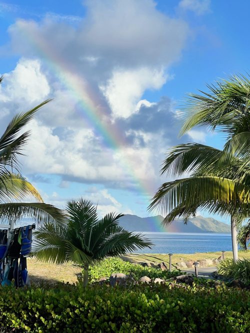 clouds rainbow palm trees mountains